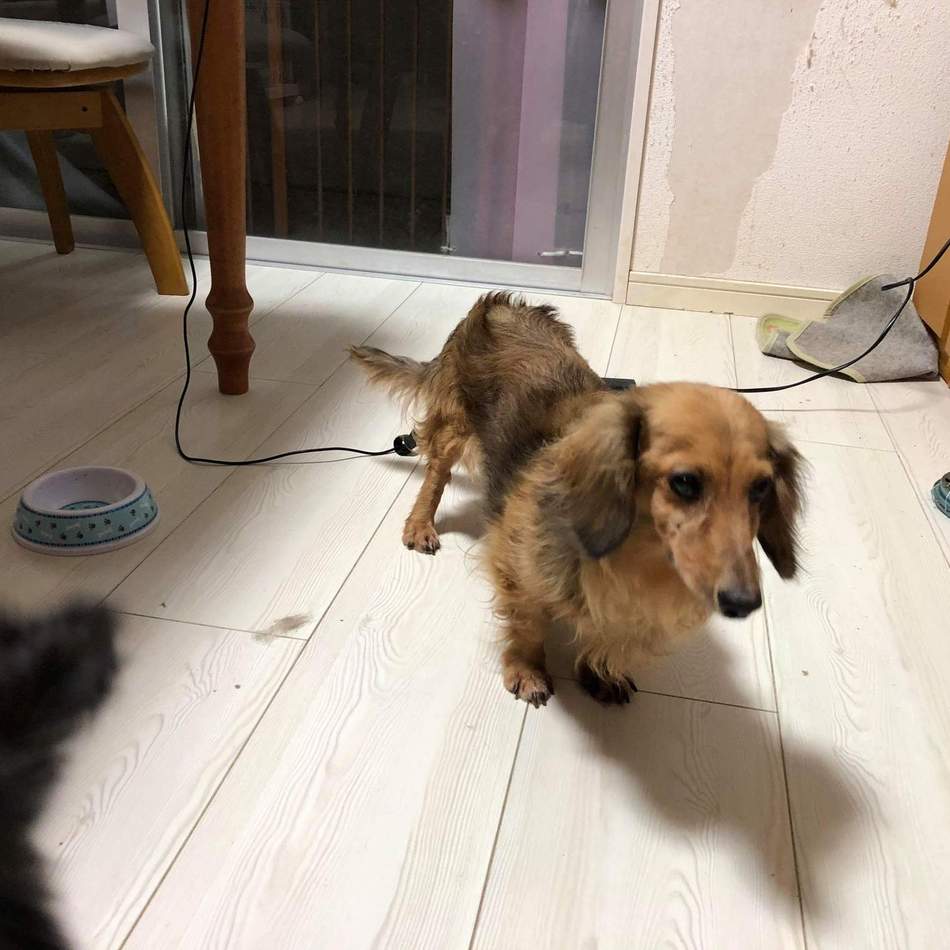 愛洲　莉愛のカバー写真