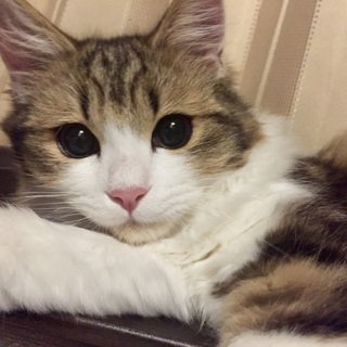 元気で甘えん坊な男の子