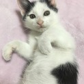 弱ってた子がこんなに元気に！