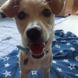 「銀太…荒行へ馳せ参じる☆」サムネイル2