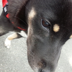 「銀太…荒行へ馳せ参じる☆」サムネイル3