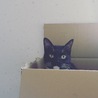 の写真