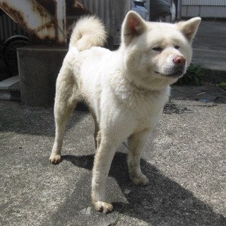 家族ができました！！