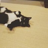 の写真