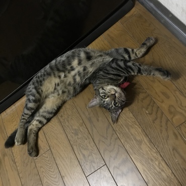 くねっ……