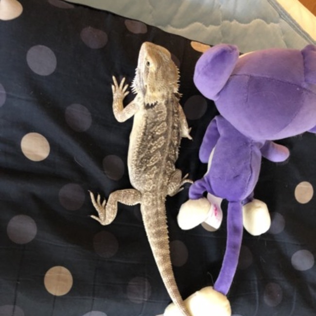 そわんのカバー写真