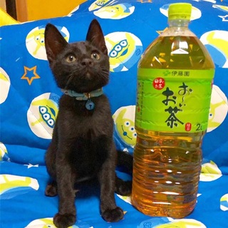 絶叫系まっくろ男子