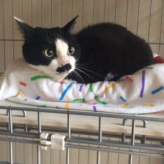 甘えん坊で性格の良い女の子です！