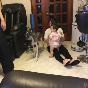 ヤキモチやき！本当は仲良し