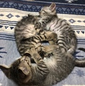 生後3ヶ月