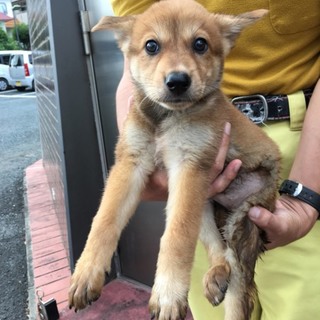家族に迎えられました！！