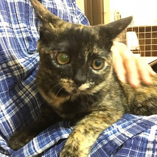 よく見て！可愛い きらら。