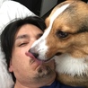 チャイ君