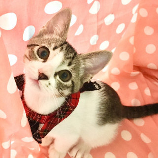 ホクロが味のあるムロくん★3ヶ月