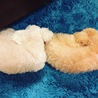 they are sleeping with  good dreams ..