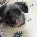 ここまで辛い思いをしてきた 凛ちゃんを 幸せに