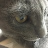 いのうえ 
