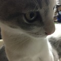 どうか一目でも見てください。