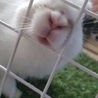 おるてんしあ さん