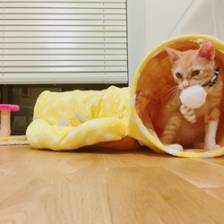 おもちゃ