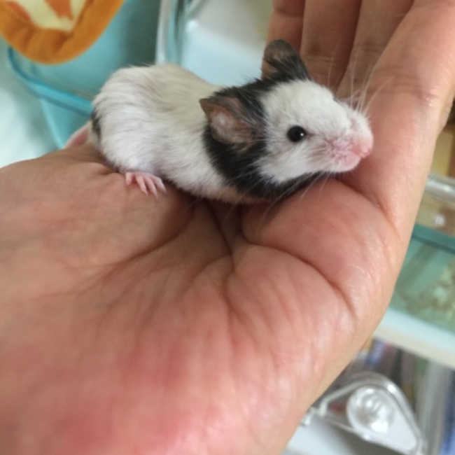 とも117のカバー写真