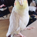 熟考します一旦応募締切ます。すみません。