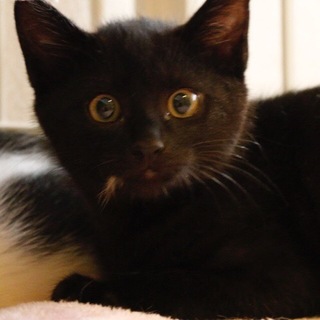 8/18池袋★リオくん★イブちゃんと一緒