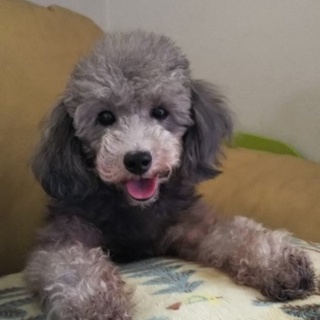 ありがとうございました