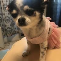 マリー♡