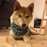 むぎ