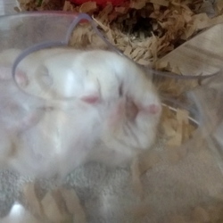 野生の本能とは…笑