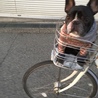 ぼくの特等席だぞ