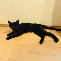 凛