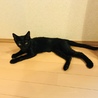 凛
