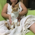 ありがとうございました