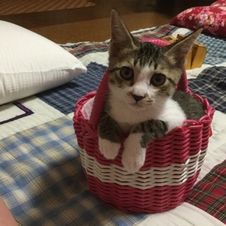 ありがとうございました！