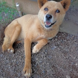 「穴ホリホリして涼んでまーす！」サムネイル1