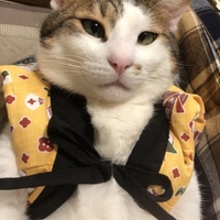 マカロン