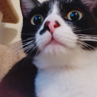 のりまき