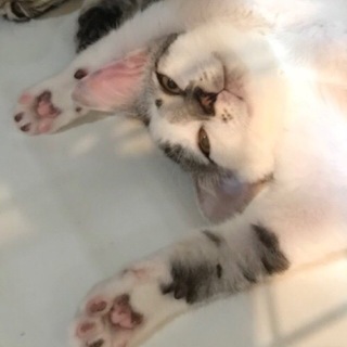 8/18池袋★ごま塩太郎くん★とにかく明るい！