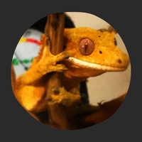 ギル