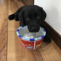 【受付停止中です】トライアル予定