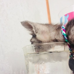 みらいの成長