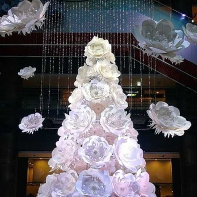 よしぴっぴのカバー写真