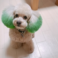 レオン