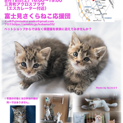 アクロスプラザ三芳店犬猫里親会