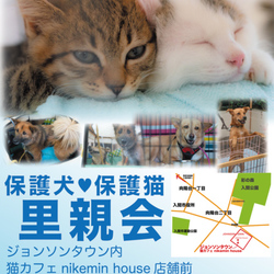 入間市ジョンソンタウン犬猫里親会