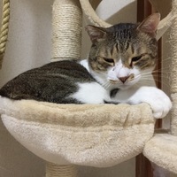 幸ちゃん