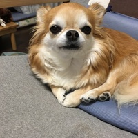 ちゅり