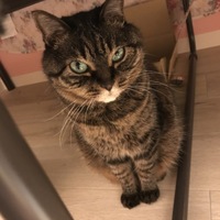 そら